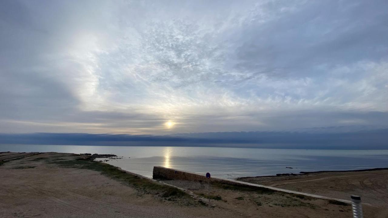 Beachfront Apartment - La Mata トレビエハ エクステリア 写真