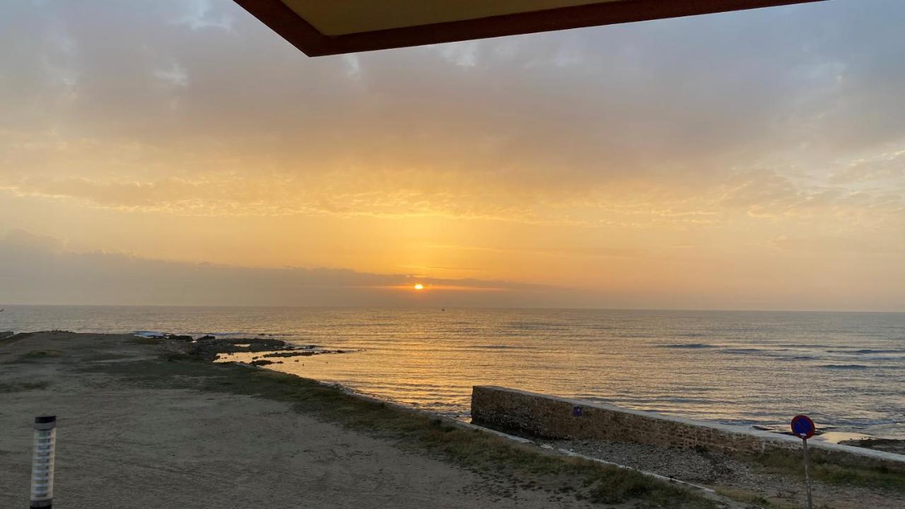 Beachfront Apartment - La Mata トレビエハ エクステリア 写真